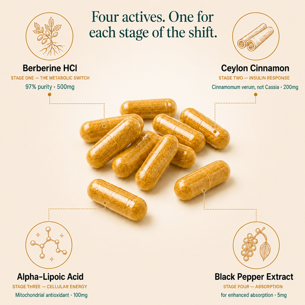 Berberine Complex Capsules (500mg)